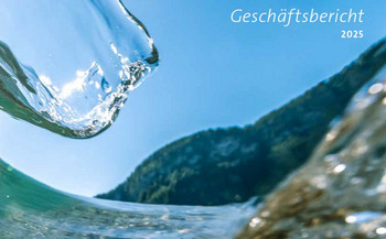 Geschäftsbericht 2025 SGV Holding AG