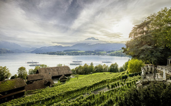 Unternehmensberichte