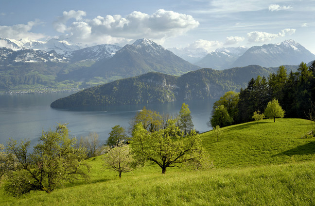 Circuit Rigi-Chestene Auf dem Bild sieht man schöne Berge und ein bewölkter Himmel. Man sieht den Vierwaldstättersee. Verschiedene Bäume und einen Wald sind zu sehen.