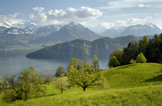Rigi-Chestene Rundreise Auf dem Bild sieht man schöne Berge und ein bewölkter Himmel. Man sieht den Vierwaldstättersee. Verschiedene Bäume und einen Wald sind zu sehen.