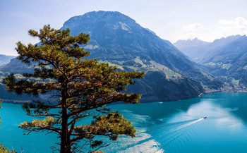 Urnersee Tageskarte Urnersee Tageskarte