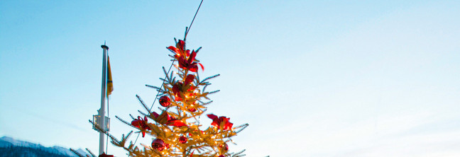 Celebrate and rejoice in style