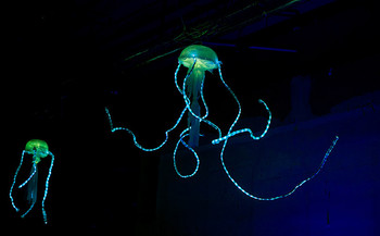 Lichtfestival Luzern 