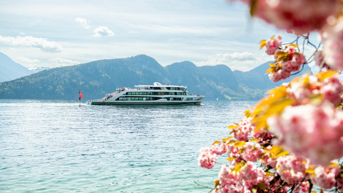 Bild im Frühling mit der MS Diamant