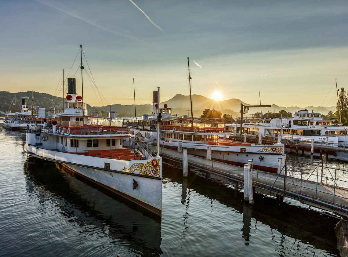 Dampfschiffe am Werftsteg Luzern Dampf- und Motorschiffe stehen in der Werft Luzern und warten auf ihren Einsatz.