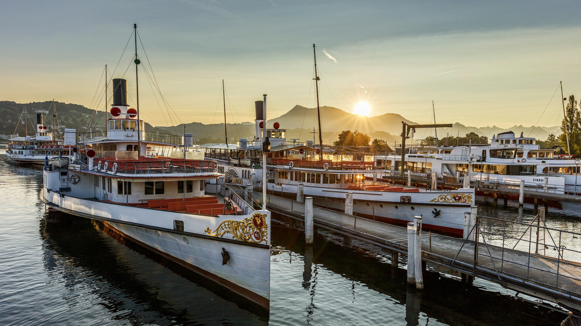 Steam and motor ships are standing in the Lucerne shipyard.