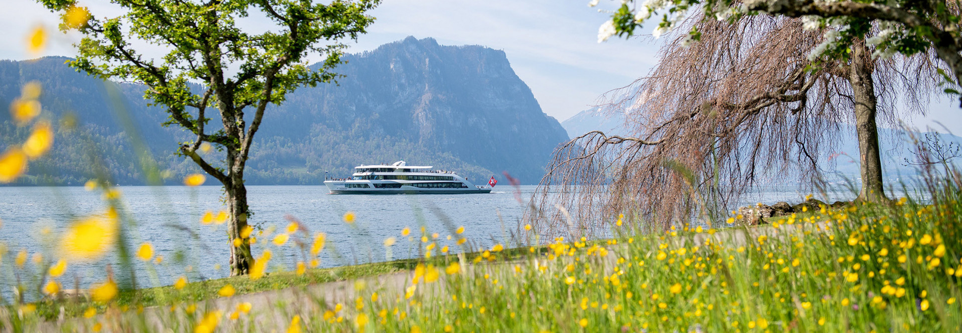 Springtime on Lake Lucerne - You can see the motor boat Diamant from the springtime shore on Lake Lucerne.
